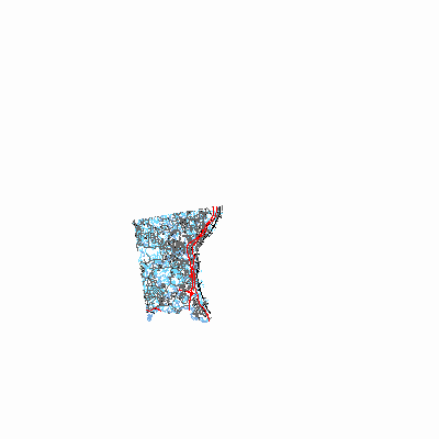 Export Image